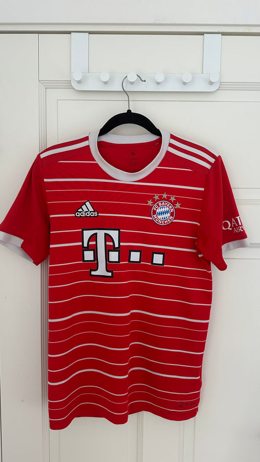 Bayern Munich 2022/2023 Hemmatröja Small